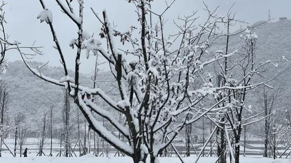 丰都南天湖:瑞雪迎新春 美景眷游人 丰都南天湖:瑞雪迎新春 美景眷游人