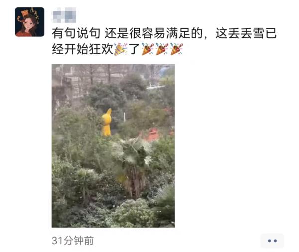 上海2023年的第一场雪，从“头皮屑”下成了“棉花糖”，你被雪景刷屏了吗？