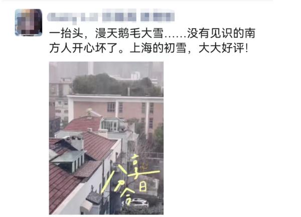 上海2023年的第一场雪，从“头皮屑”下成了“棉花糖”，你被雪景刷屏了吗？