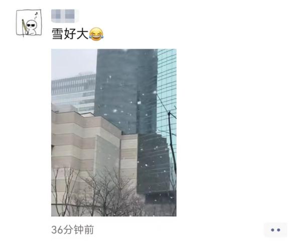 上海2023年的第一场雪，从“头皮屑”下成了“棉花糖”，你被雪景刷屏了吗？