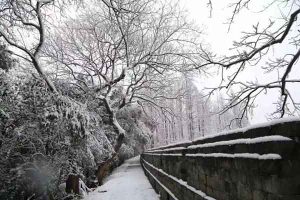 荆州雪景图片图片