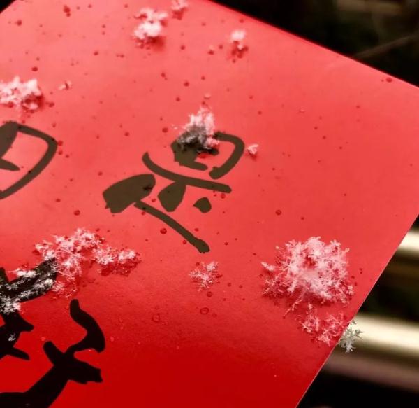 今天好大雪!上海网友表示:“相当满足,远超预期”,但什么时候可以堆雪人呀? 今天好大雪!上海网友表示:“相当满足,远超预期”,但什么时候可以堆雪人呀?