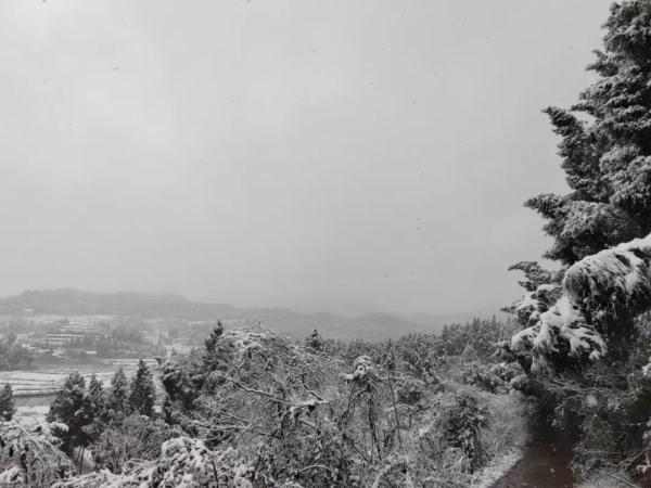 下雪啦！四川多地加入下雪群聊，你那下了没？