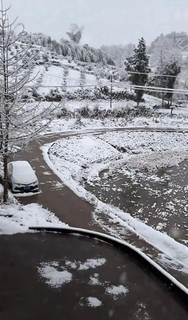 下雪啦！四川多地加入下雪群聊，你那下了没？