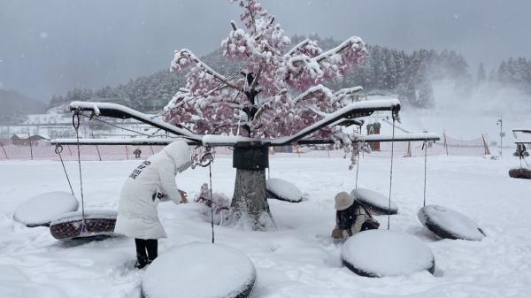 丰都南天湖:瑞雪迎新春 美景眷游人 丰都南天湖:瑞雪迎新春 美景眷游人