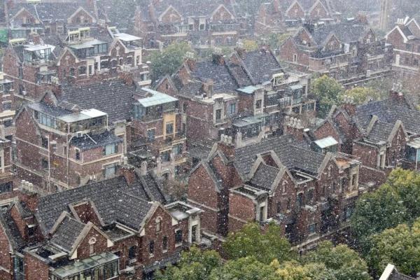 上海2023年的第一场雪，从“头皮屑”下成了“棉花糖”，你被雪景刷屏了吗？