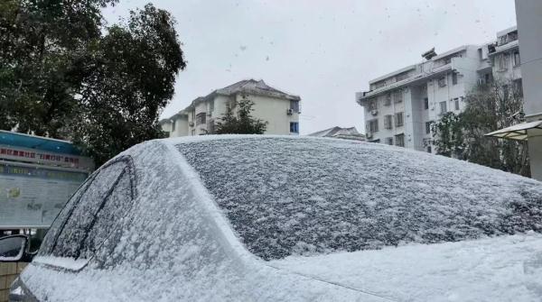 上海2023年的第一场雪，从“头皮屑”下成了“棉花糖”，你被雪景刷屏了吗？