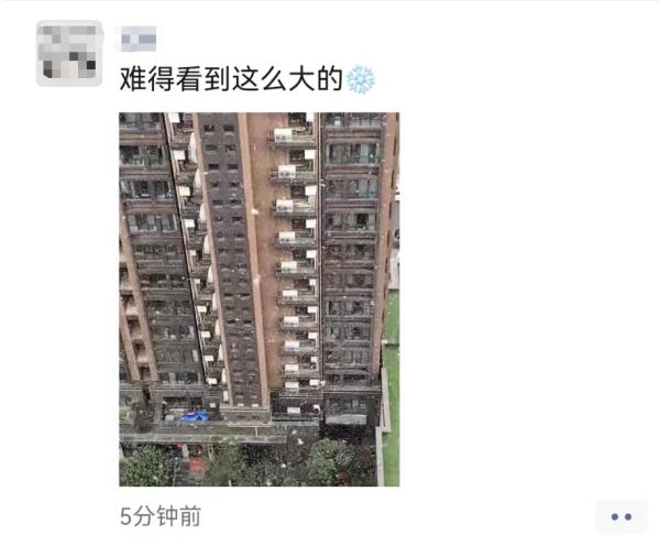 上海2023年的第一场雪，从“头皮屑”下成了“棉花糖”，你被雪景刷屏了吗？