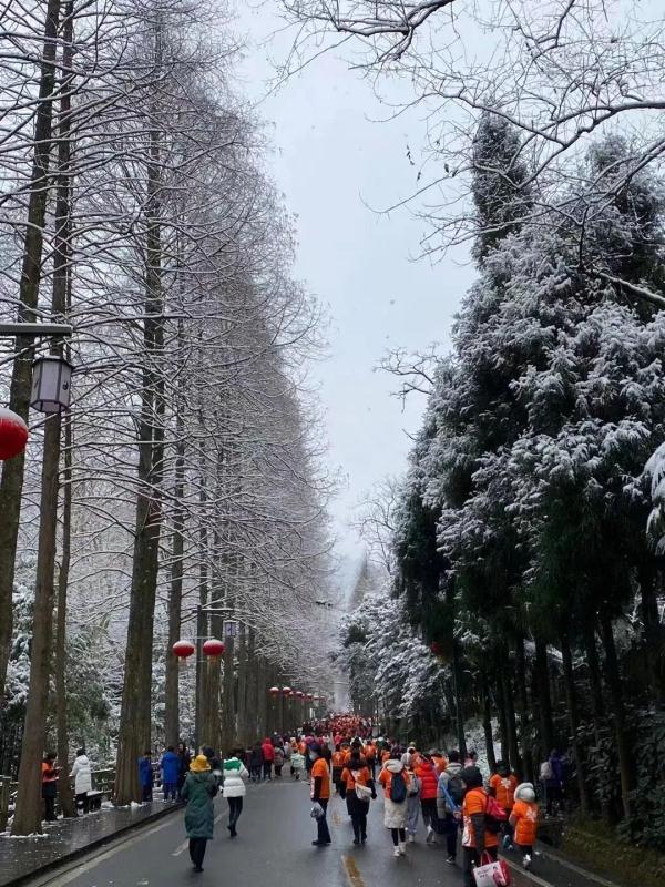 下雪啦！四川多地加入下雪群聊，你那下了没？