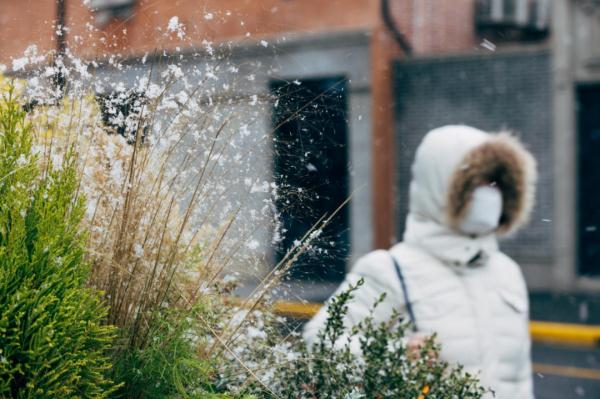 上海2023年的第一场雪，从“头皮屑”下成了“棉花糖”，你被雪景刷屏了吗？