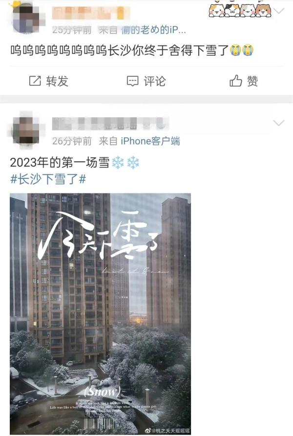 南方小年！2023年长沙的第一场雪来啦！