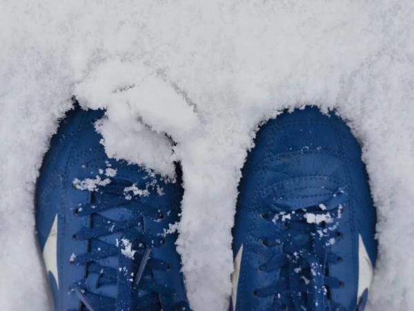 下雪啦！四川多地加入下雪群聊，你那下了没？