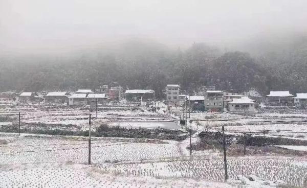 2023年的第一场雪！广西加入下雪群聊→