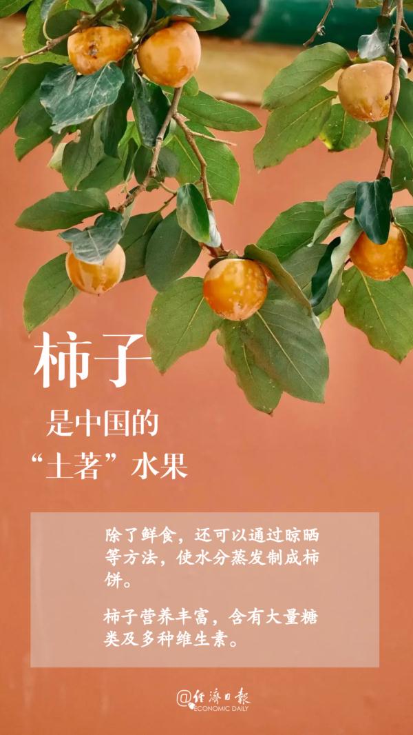 聊聊这个“土著”水果