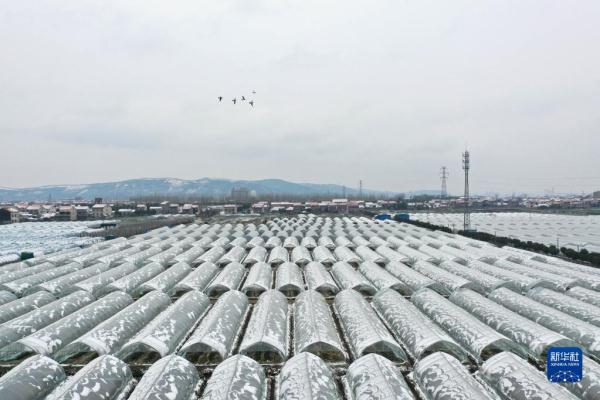 雪润大地 景色如画 雪润大地 景色如画
