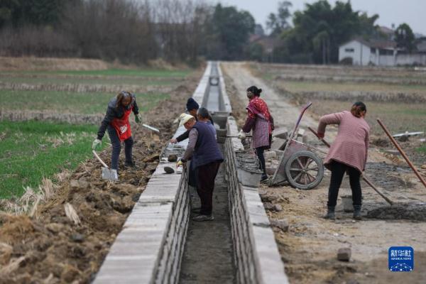 四川绵竹：高标准农田建设忙