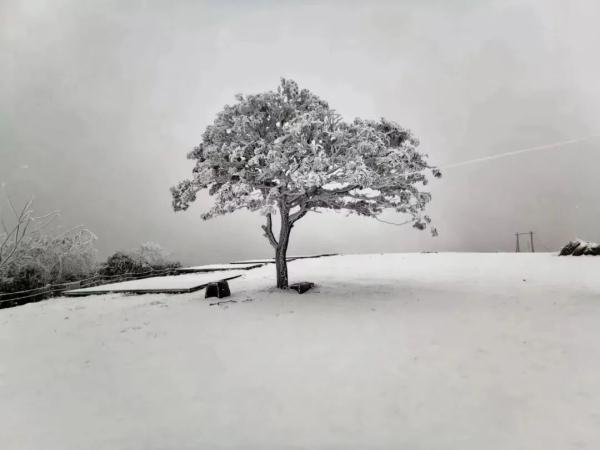 重庆雪景美图来袭！请查收～