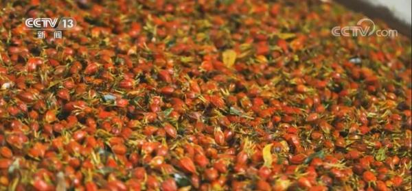 炉火旺 年糕香 新年迎来新希望 炉火旺 年糕香 新年迎来新希望