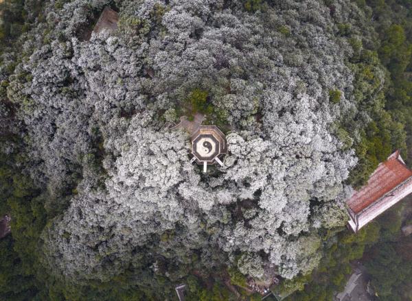 重庆雪景美图来袭！请查收～