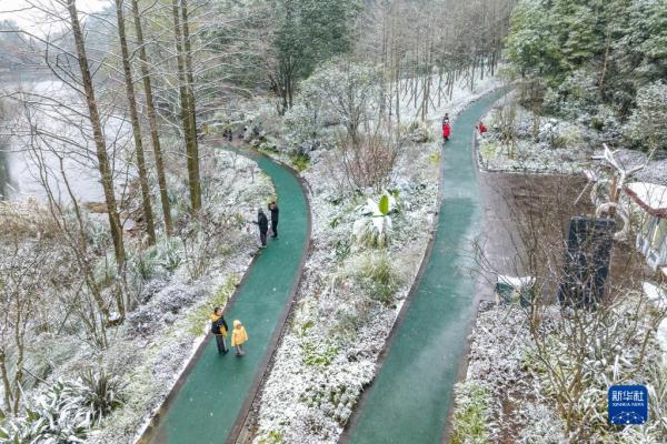 雪润大地 景色如画 雪润大地 景色如画