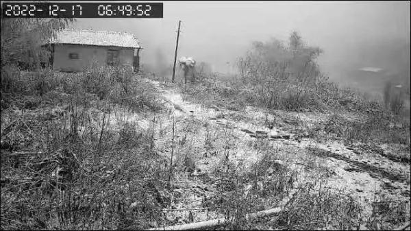福建下雪了！除夕、春节天气……
