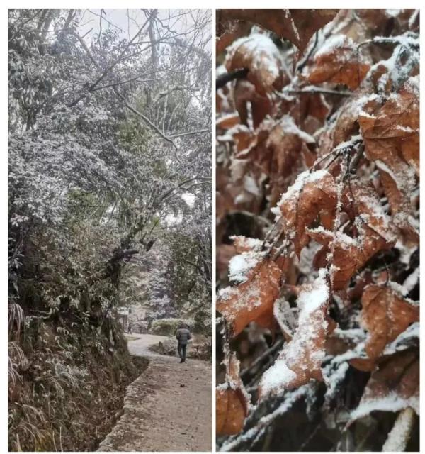 福建下雪了！除夕、春节天气……