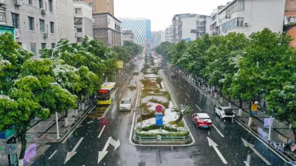 重庆雪景美图来袭！请查收～