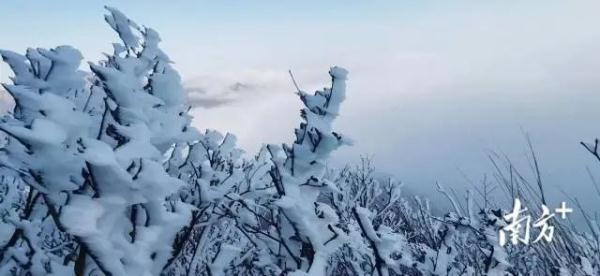 广东下雪了！一夜断崖式下降10℃，144个寒冷预警生效
