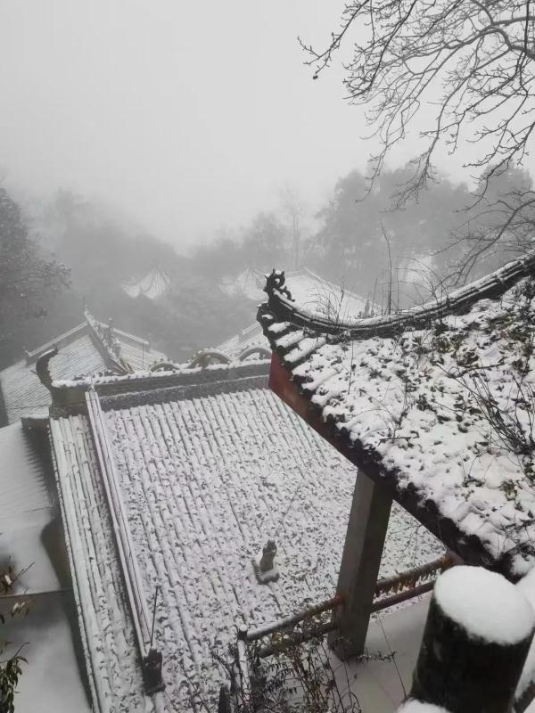重庆雪景美图来袭！请查收～