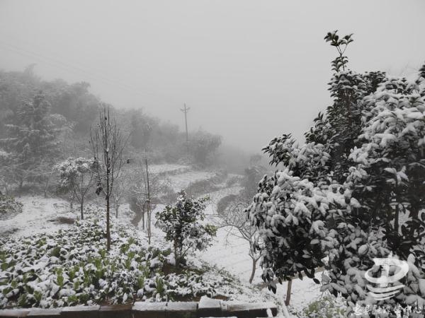 重庆雪景美图来袭！请查收～