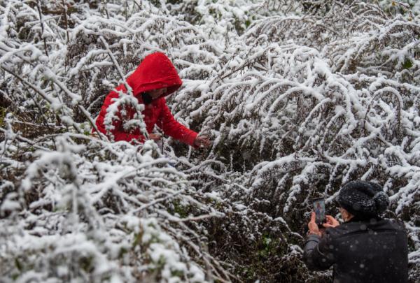 重庆雪景美图来袭！请查收～