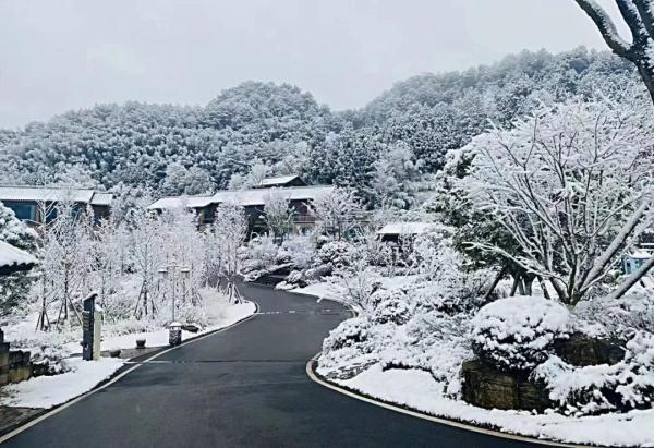 重庆雪景美图来袭！请查收～