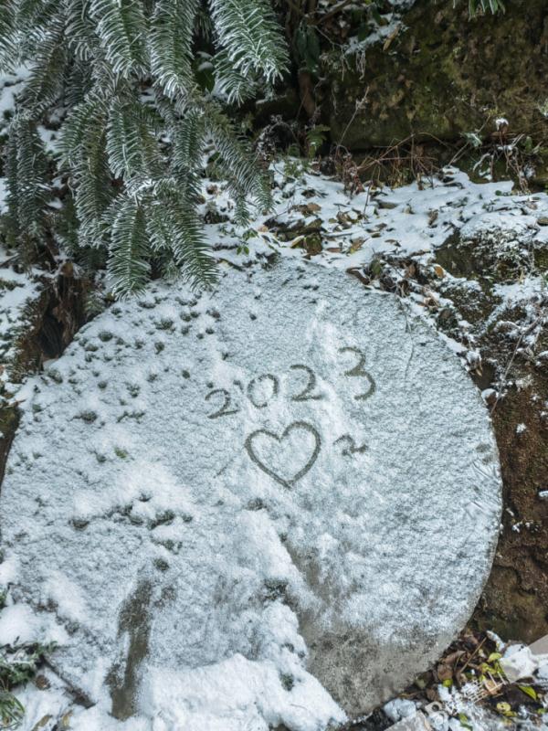 重庆雪景美图来袭！请查收～
