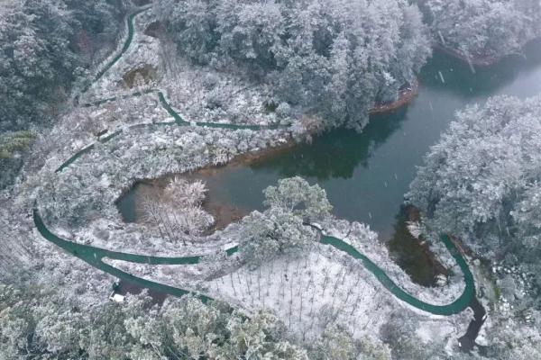 重庆雪景美图来袭！请查收～
