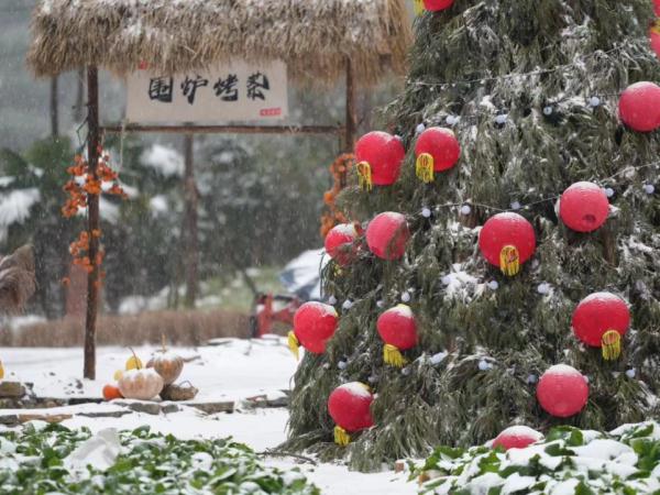 重庆雪景美图来袭！请查收～