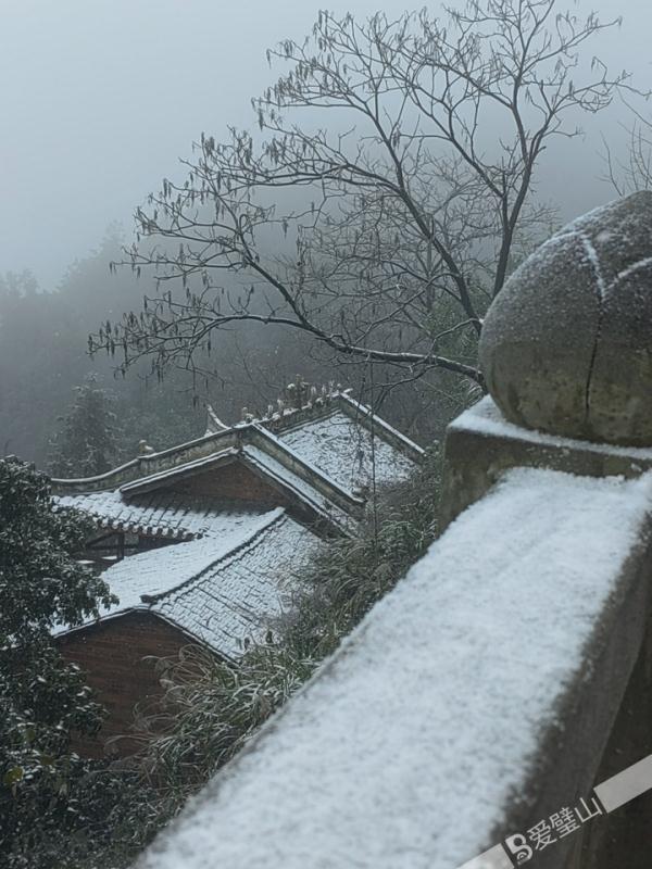 重庆雪景美图来袭！请查收～