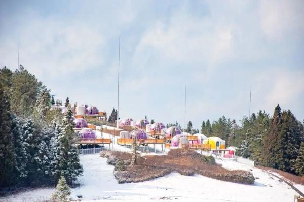 重庆雪景美图来袭！请查收～