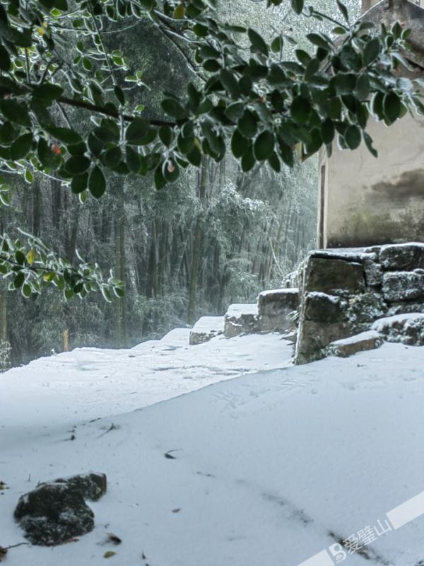 重庆雪景美图来袭！请查收～