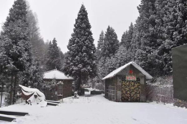 重庆雪景美图来袭！请查收～