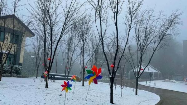 重庆雪景美图来袭！请查收～