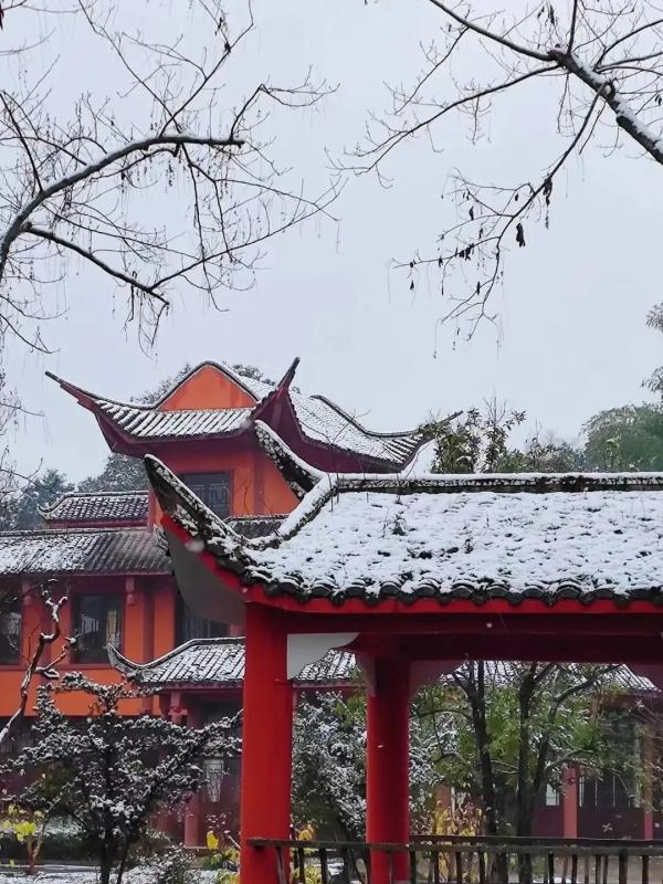 重庆雪景美图来袭！请查收～