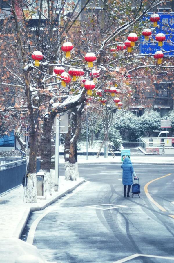 重庆雪景美图来袭！请查收～