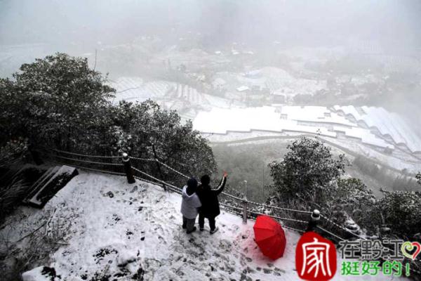 重庆雪景美图来袭！请查收～