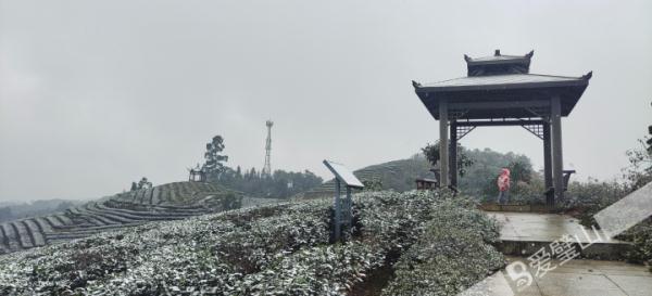 重庆雪景美图来袭！请查收～