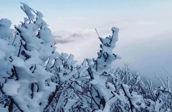 广东下雪了! 广东下雪了!