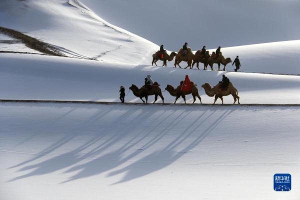 雪润大地 景色如画 雪润大地 景色如画