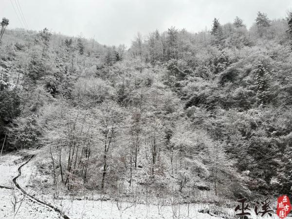 重庆雪景美图来袭！请查收～