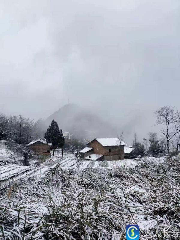 重庆雪景美图来袭！请查收～