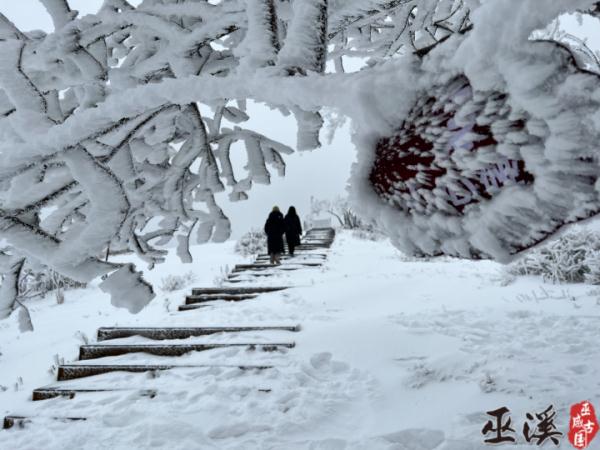 重庆雪景美图来袭！请查收～