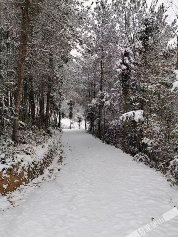 重庆雪景美图来袭!请查收